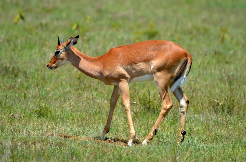 NKC_6578.jpg