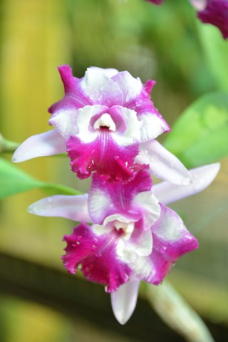 JCS_5788.jpg